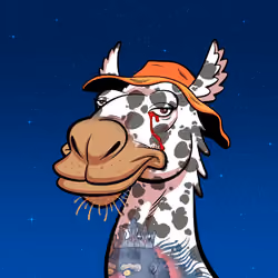 Arabian Camel #2757