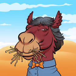 Arabian Camel #11653