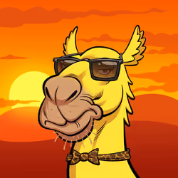 Arabian Camel #8456