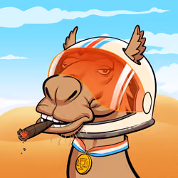 Arabian Camel #4767