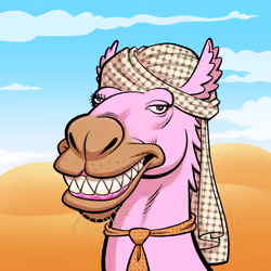 Arabian Camel #5842