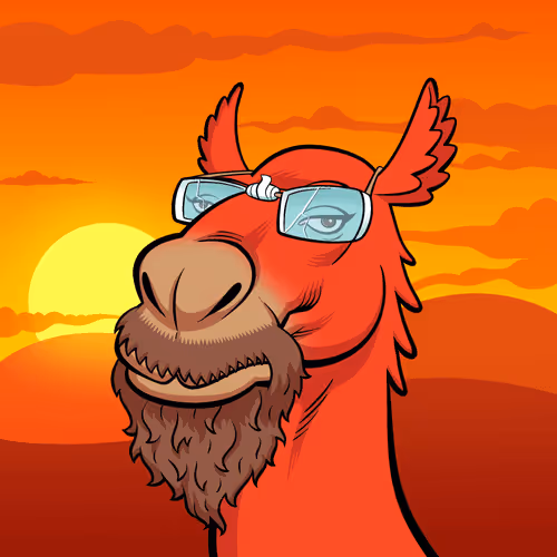 Arabian Camel #1663