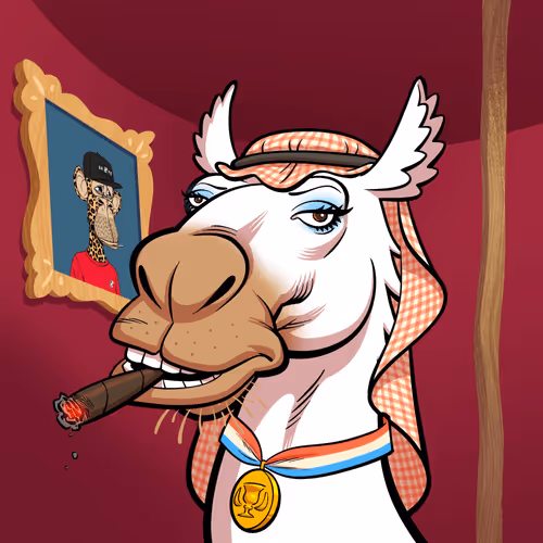 Arabian Camel #9509