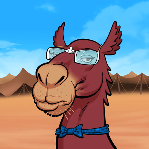 Arabian Camel #1865