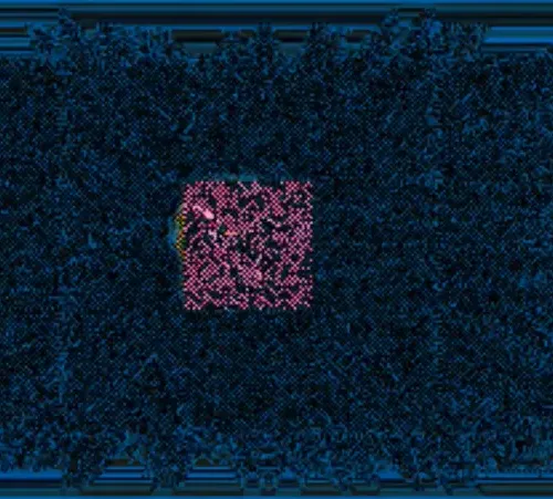 XXXXXXXXXXXXXXXXX