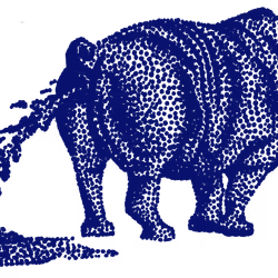 rhino.png