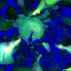 64500