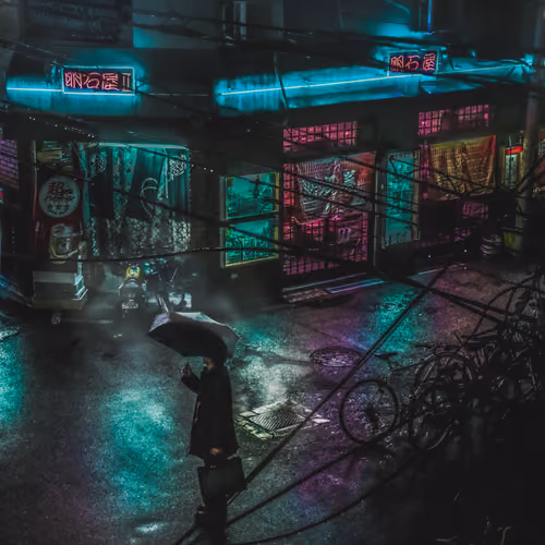 Wandering in the night rain