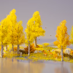 Autumn forest