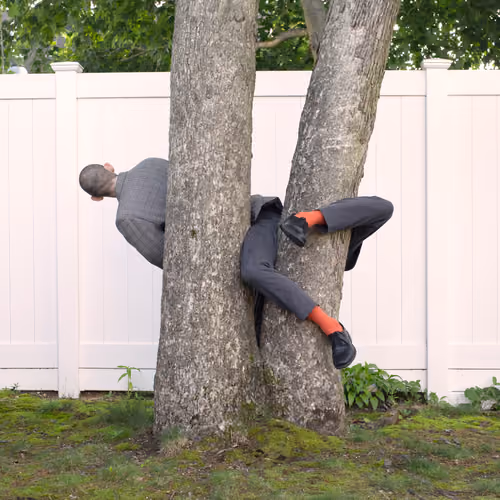 Unorthodox methods of achieving the American Dream