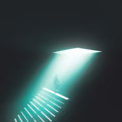 INTO THE LIGHT