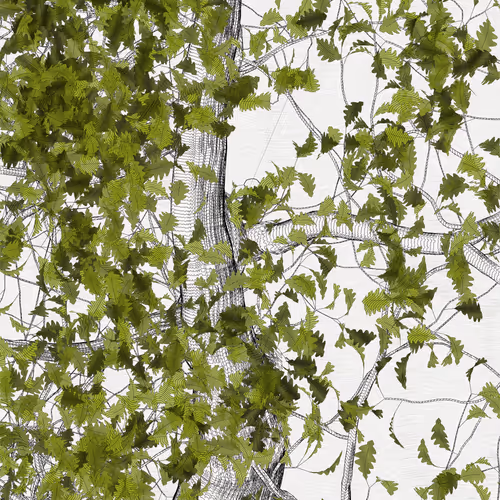 The Oak Tree part #0,+1