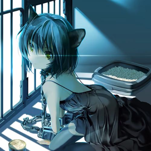 The cat waiting for its owner