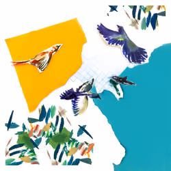 001 Birding