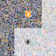 89350