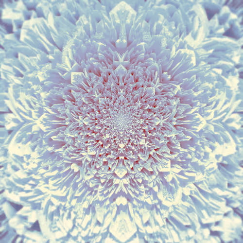 Endless Petals
