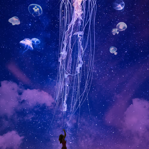 The bride of sea
