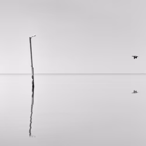 Fnd