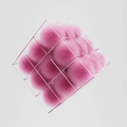 Pretty Pink Testicles