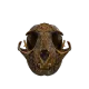 69899