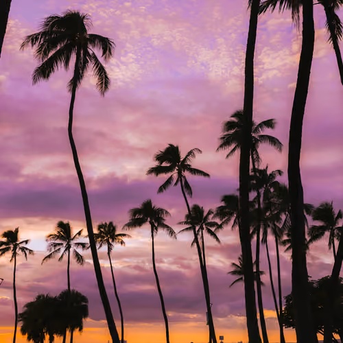 Hawaiian Sunset