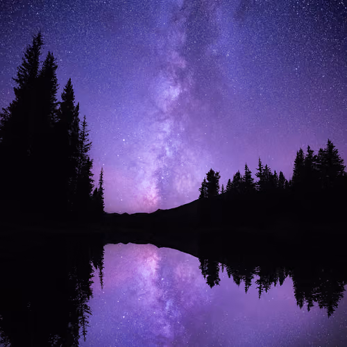 Paradise Divide