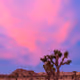 Desert Solitude