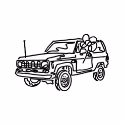 BLOOM - BRONCO