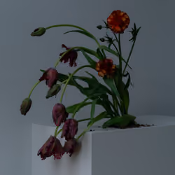 Bouquet with Black Parrot Tulips