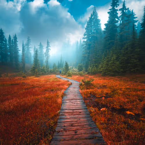 The Alpine Atmosphere