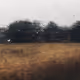 78575