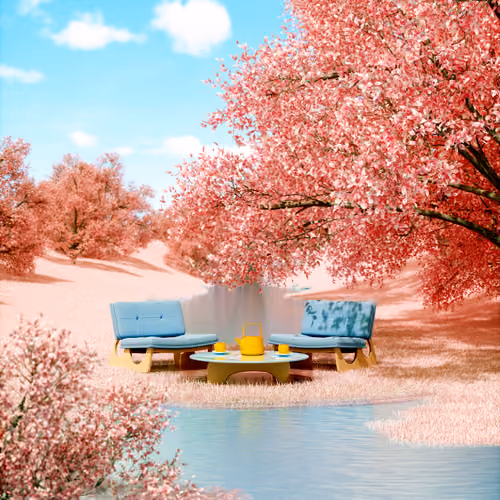Sakura Season Blooming 🌸