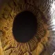 38743