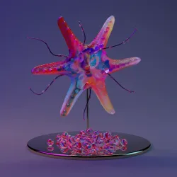 Protoreaster nodosus