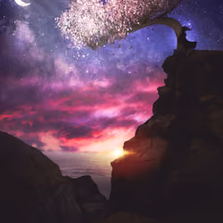 Midnight Blossom