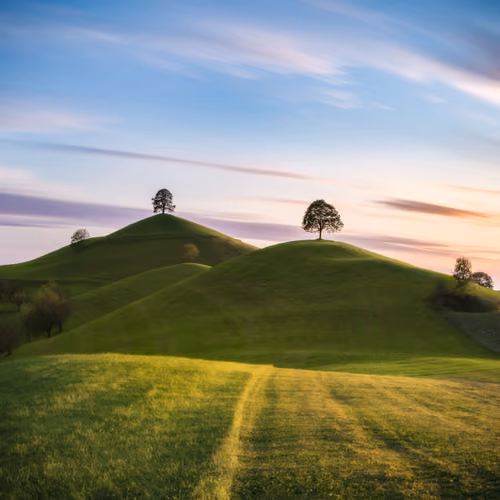 Kings Of The Hills