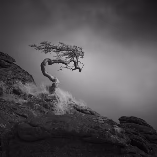 THE WITCH - ANOTHER WORLD 3