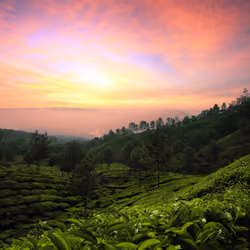 The tranquillity of dawning light