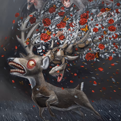 little deer
