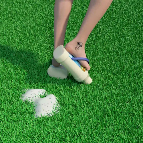 RANCH-FLOPS