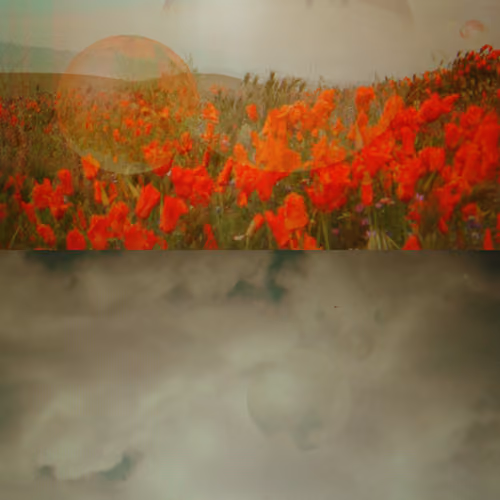 Siix Diptych