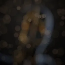 Black and Gold