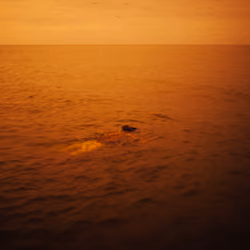 A WEIGHTLESS DREAM