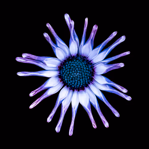 ❀.3