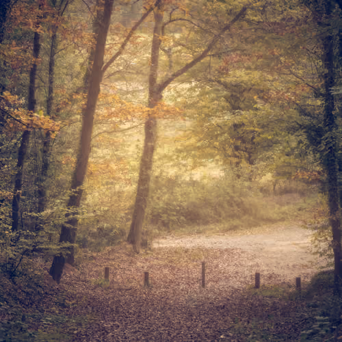 The Nature