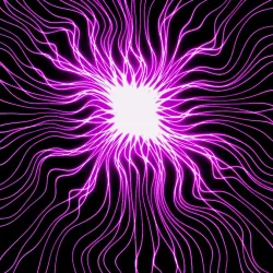 21 Purp