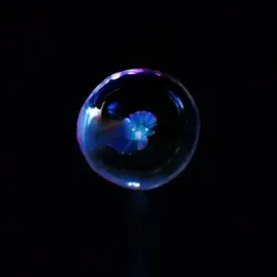 The Bubble