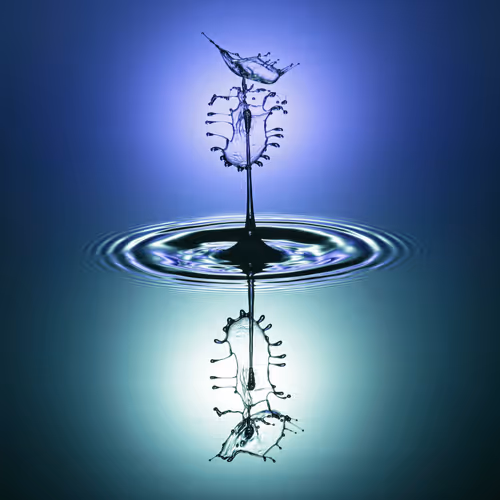 Liquidity Art - The Vault New