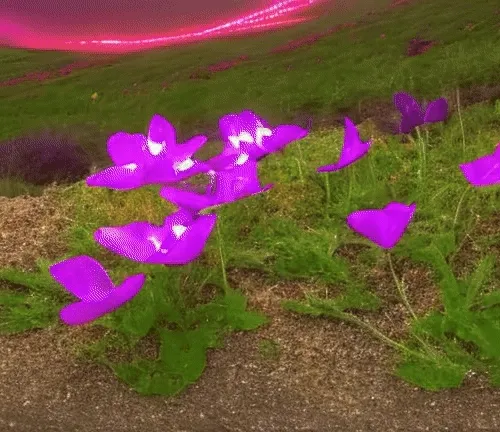 Simulated Horizons By Noper