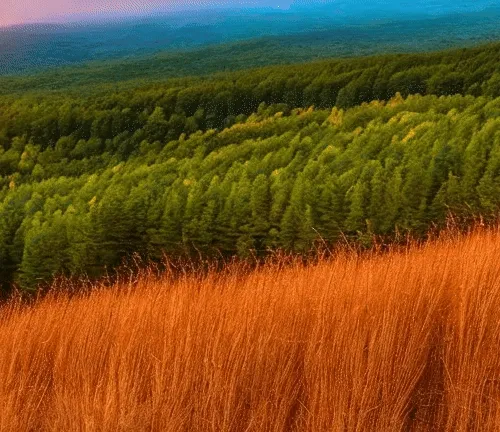 Simulated Horizons By Noper